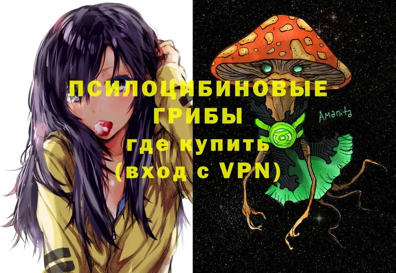 Галлюциногенные грибы Magic Shrooms  blacksprut ссылки  Лебедянь 